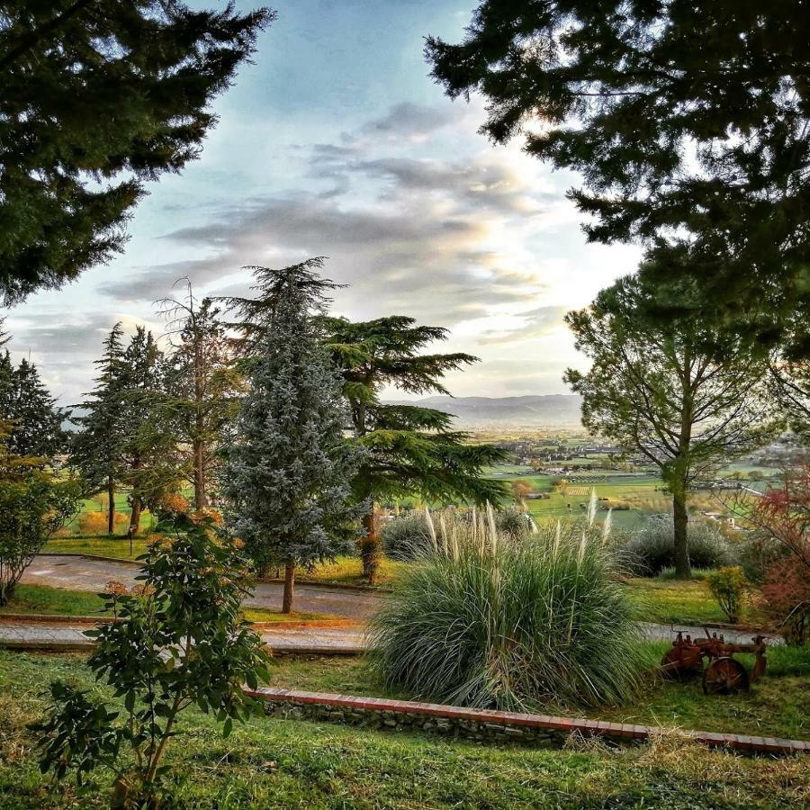 Casa Per Ferie Ulivo D'Assisi 빌라 외부 사진