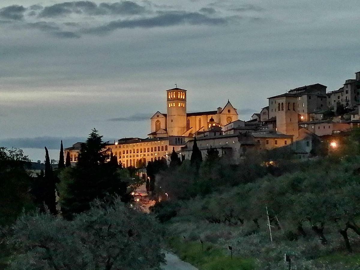 Casa Per Ferie Ulivo D'Assisi 빌라 외부 사진