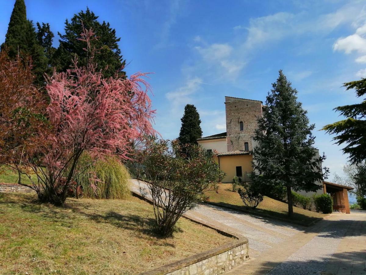 Casa Per Ferie Ulivo D'Assisi 빌라 외부 사진